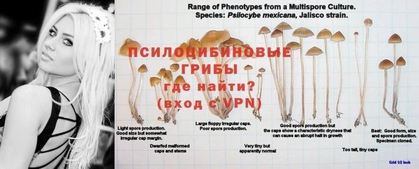 прущая мука Балахна