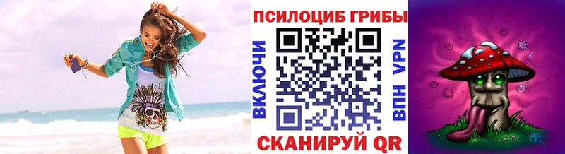 Галлюциногенные грибы Cubensis цена Чудово
